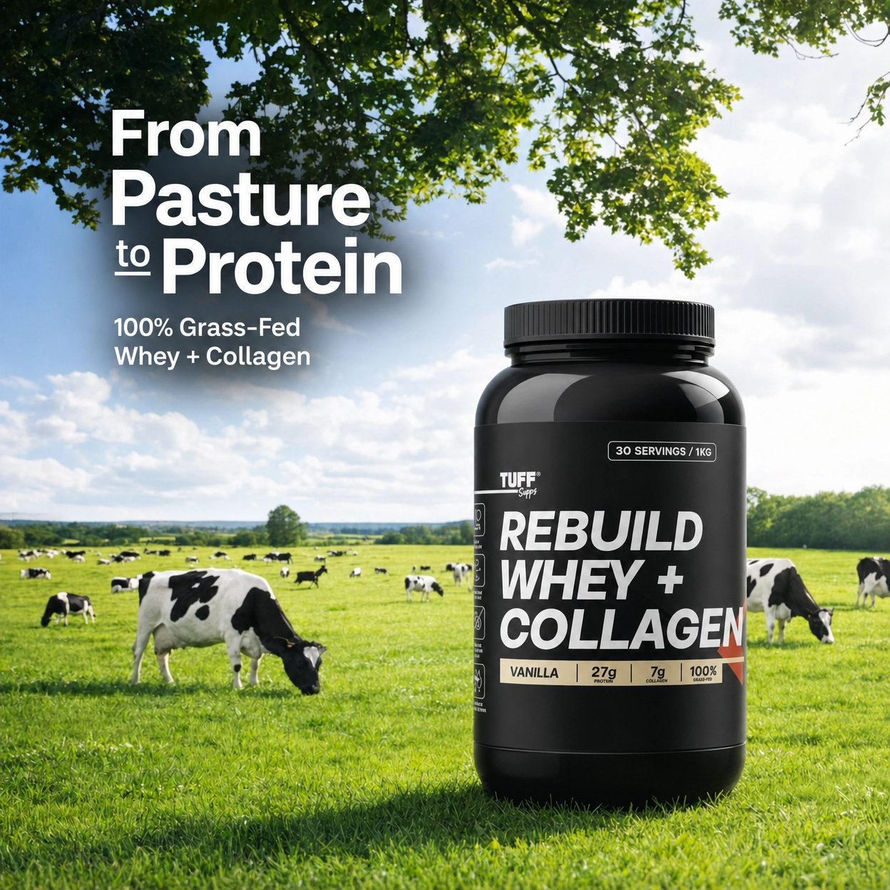 Tuff SuRebuild Whey + Collagen supplement bottle with cows grazing in a field and 'From Pasture to Protein' text.ps 
